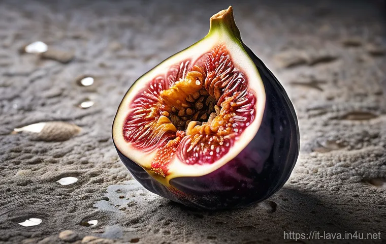 라바의 애니메이션 품질 개선 사례 - A highly detailed, macro-level illustration of a single, plump, ripe fig resting on a textured, weat...